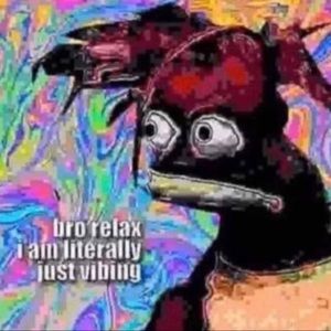 Meet your Posher, Hailey